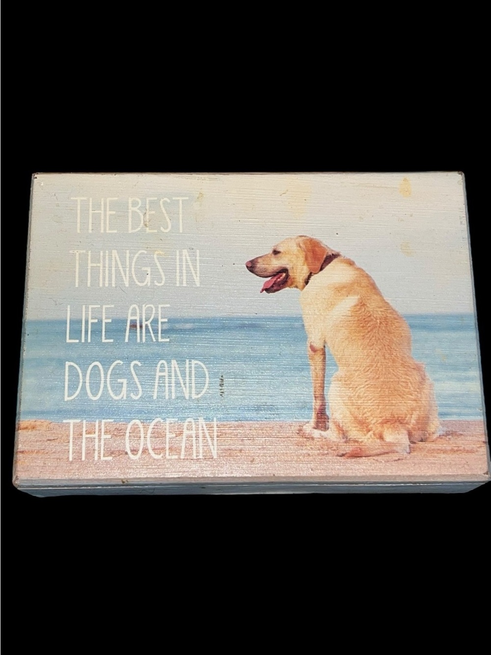 Best Things in Life are Dogs and the Ocean Wooden Wall Hanging Print Yellow Lab